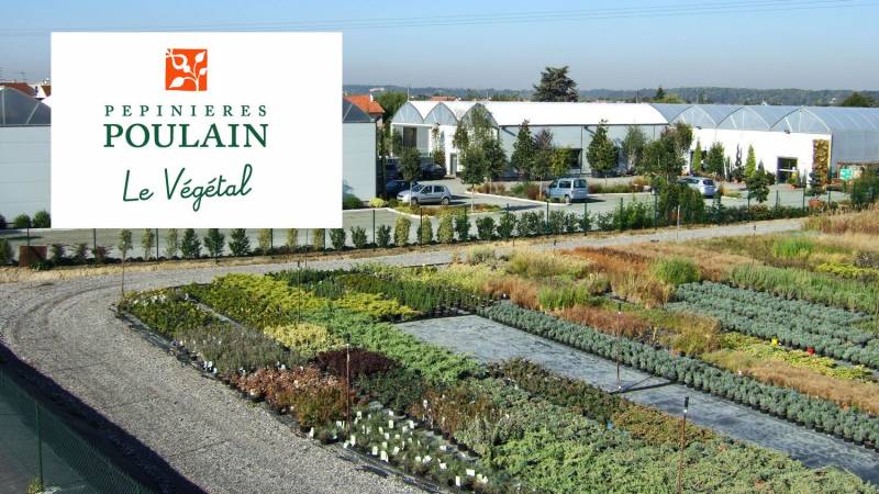 Pépinières Poulain à Mery-sur-Oise